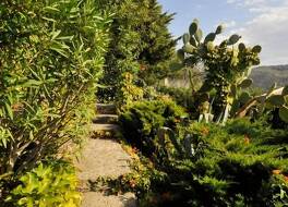 ホテル メディテラネ 写真