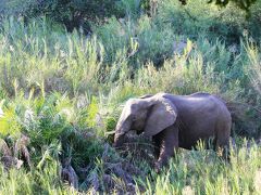 アハ マカラリ プライベート ゲーム ロッジ 写真