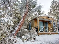 Discovery Parks - Cradle Mountain 写真