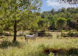 La Villa Vicha, The Originals Relais
