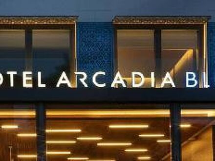 ホテル アルカディア ブルー イスタンブール 写真