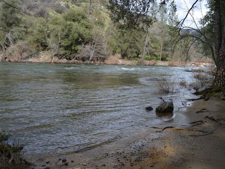 シダー ロッジ 写真