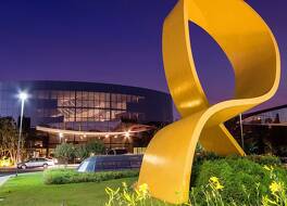 ロイヤル チューリップ ブラジリア アルボラーダ 写真