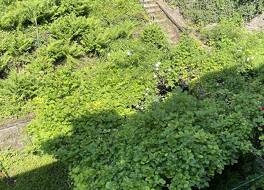 Hotel Baccara 写真