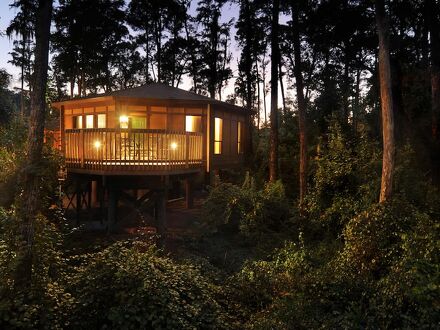 ディズニーズ サラトガ スプリングス リゾート & スパ 写真