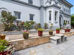 Waratah On York 写真