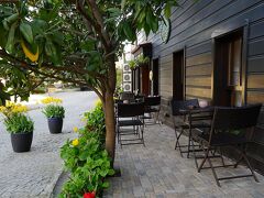 ユスフパサ コナギ 写真