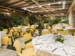 VP ハルディン メトロポリターノ 写真