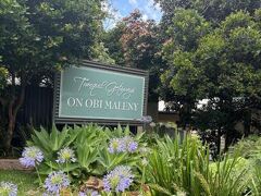 Pomodoras on Obi 写真