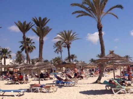 シーベル アラデン 写真