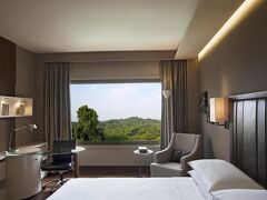 ハイアット リージェンシー デリー 写真