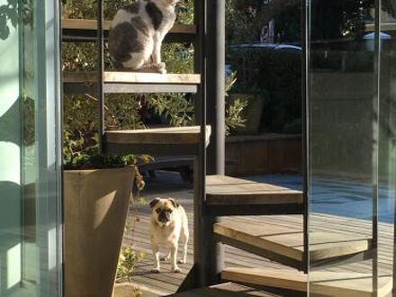 Hedge House Guest House 写真