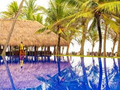 ジェットウィング シー 写真