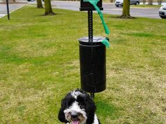 ハンプトン イン&スイーツ シカゴ/オーロラ 写真