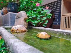 ウェンジュン コートヤード ホテル 成都 - 春熙路支店 写真