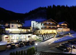 Panoramahotel Gürtl 写真