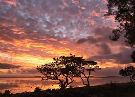 リトル イタリー ホテル 写真