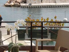 ウェルカム ホテル 写真