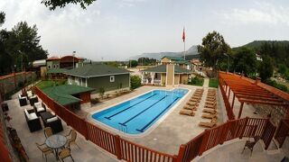 Padok Premium Hotel Stables