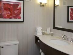 ヒルトン ガーデン イン ニューオーリンズ コンベンション センター 写真