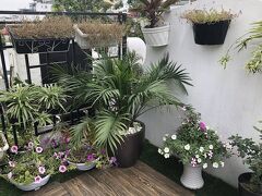 ハノイ ラ セルバ ホテル 写真