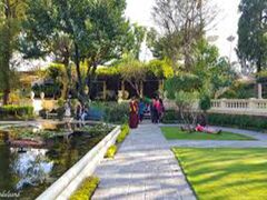 チェリー ガーデン 写真