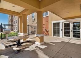 エクステンデット ステイ アメリカ スイーツ シカゴ オヘア オールステート アリーナ 写真