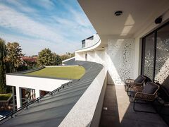 シュタインコレクション 写真