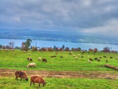 ベルエア B&B 写真