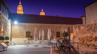 Hotel Casino Del Tormes