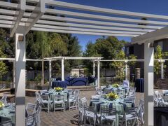 メープル ツリー イン ホテル 写真