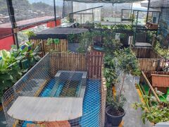 ホテル フォルトゥナグランデ ジェンベル 写真