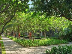 ザ シラ ア ラグジュアリー コレクション リゾート アンド スパ ロンボク 写真