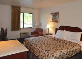 アメリカン エリート イン 写真