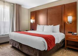 コンフォート スイーツ アーバナ シャンペーン ユニバーシティ エリア