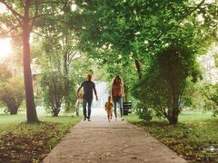 Dwór w Tomaszowicach 写真