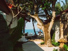 ザゼン ブティック リゾート 写真