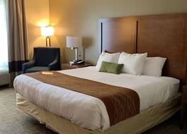 コンフォート  イン フランクリン ハイウェイ 96 写真