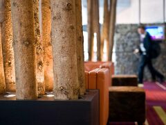 ウィンダム グランド ザルツブルク カンファレンス センター 写真