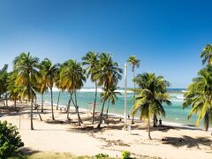Sheraton Puerto Rico Resort & Casino 写真