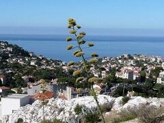 ibis Styles Marseille Vieux Port 写真