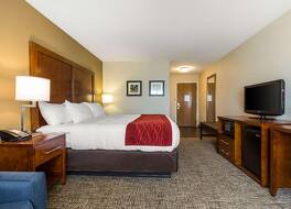 コンフォート イン ラ ポルト 写真