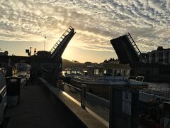 The Rosefield 写真