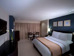 ホデルパ セントロ プラザ ホテル 写真