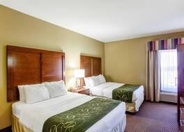 コンフォート スイーツ 写真