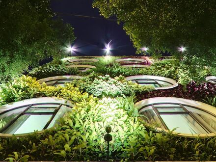 フローラ バイ クロスロードズ ホテル 写真