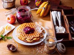 イビス ブレゲンツ 写真