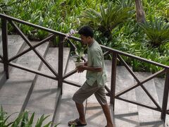 ダイアローグ セミニャック 写真