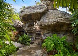 ホテル プラヤ マサトラン 写真