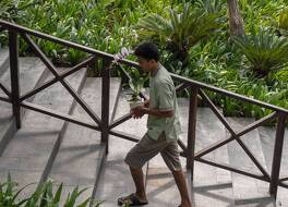 ダイアローグ セミニャック 写真